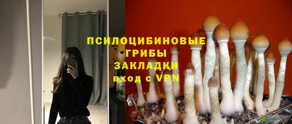 таблы Осинники
