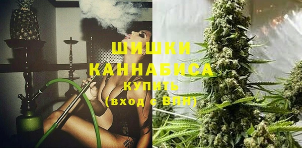 таблы Осинники