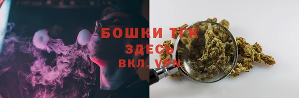 крисы Магадан